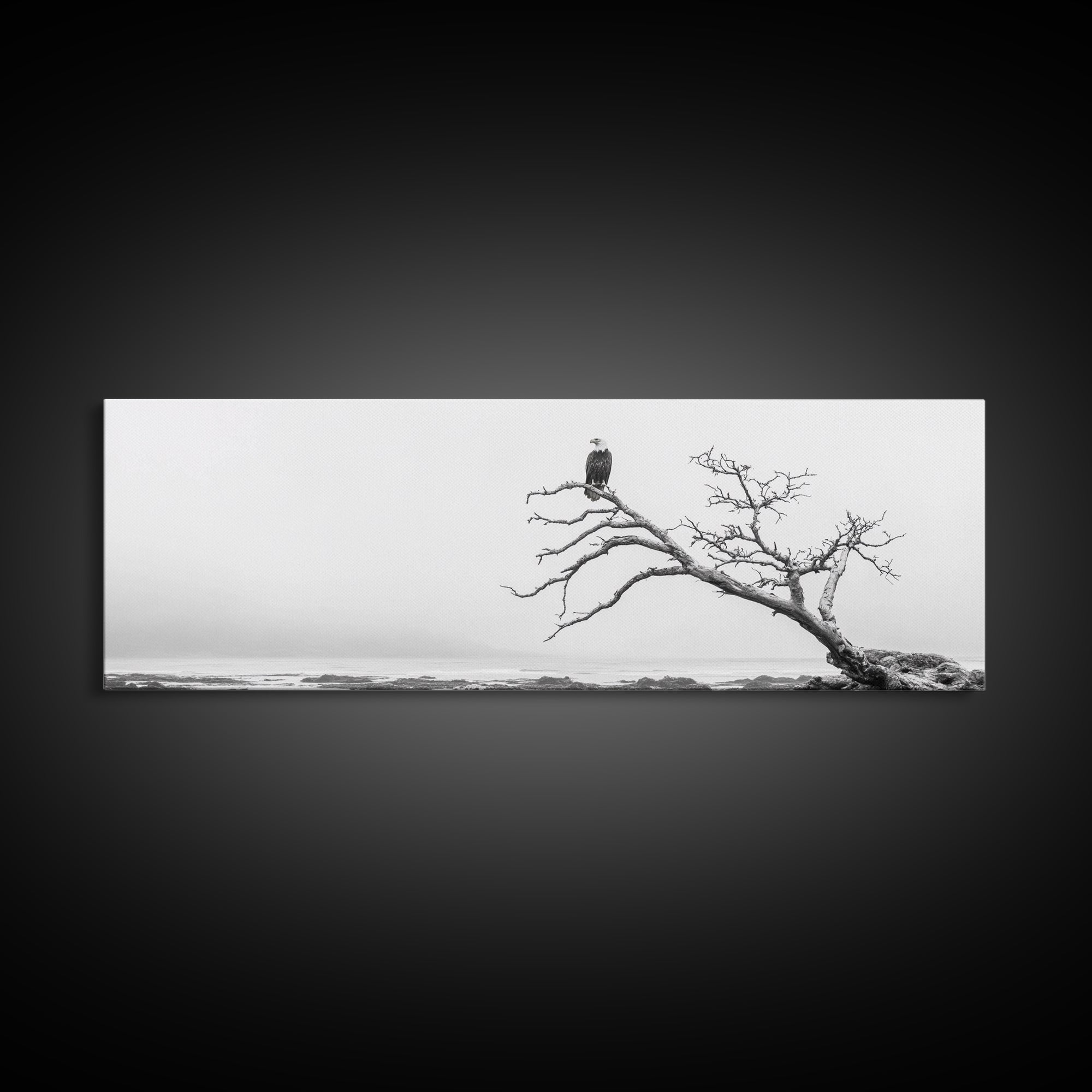 Bald Eagle, Tree Perch, Foggy Coast, Framed Canvas Print, Wildlife Photography, Cabin Wall Art, Rustic Minimalist Decor