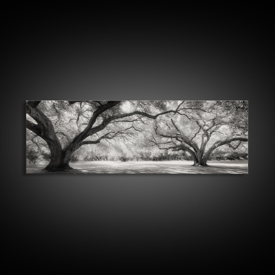 Sprawling Trees, Oak Forest, Sunlit Canopy, Majestic Branches, Canvas Print, Nature Wall Art, Boho Decor, Living Room Statement Piece