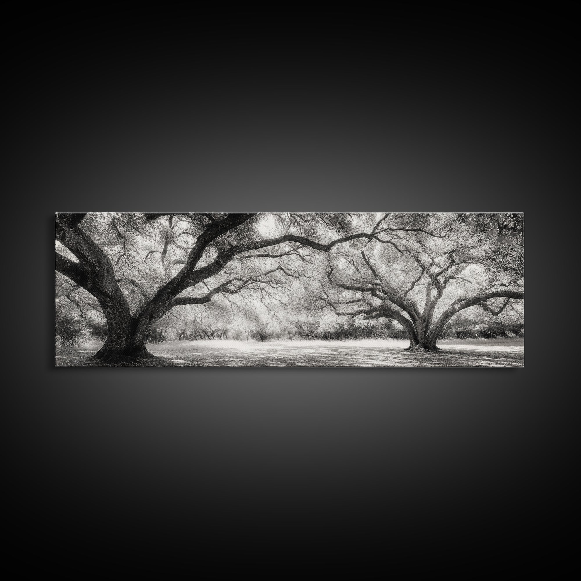Sprawling Trees, Oak Forest, Sunlit Canopy, Majestic Branches, Canvas Print, Nature Wall Art, Boho Decor, Living Room Statement Piece