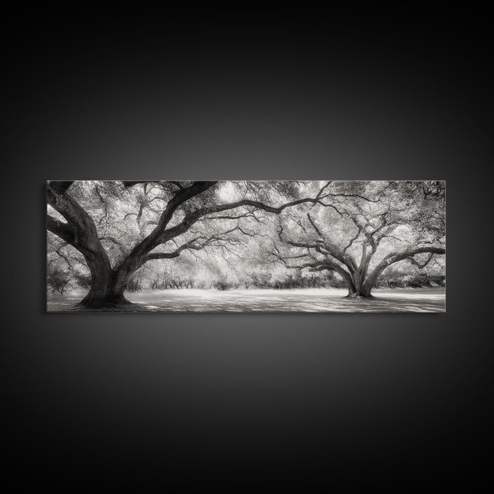 Sprawling Trees, Oak Forest, Sunlit Canopy, Majestic Branches, Canvas Print, Nature Wall Art, Boho Decor, Living Room Statement Piece