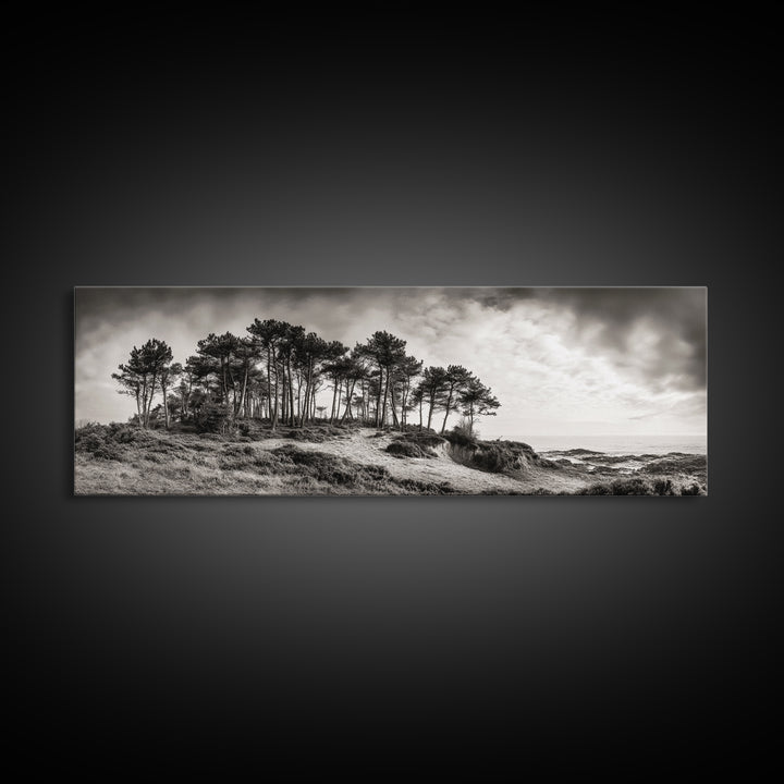 Coastal Pines, Ocean View, Windswept Trees, Framed Canvas Print, Minimalist Landscape Art, Neutral Tones, Entryway Wall Decor