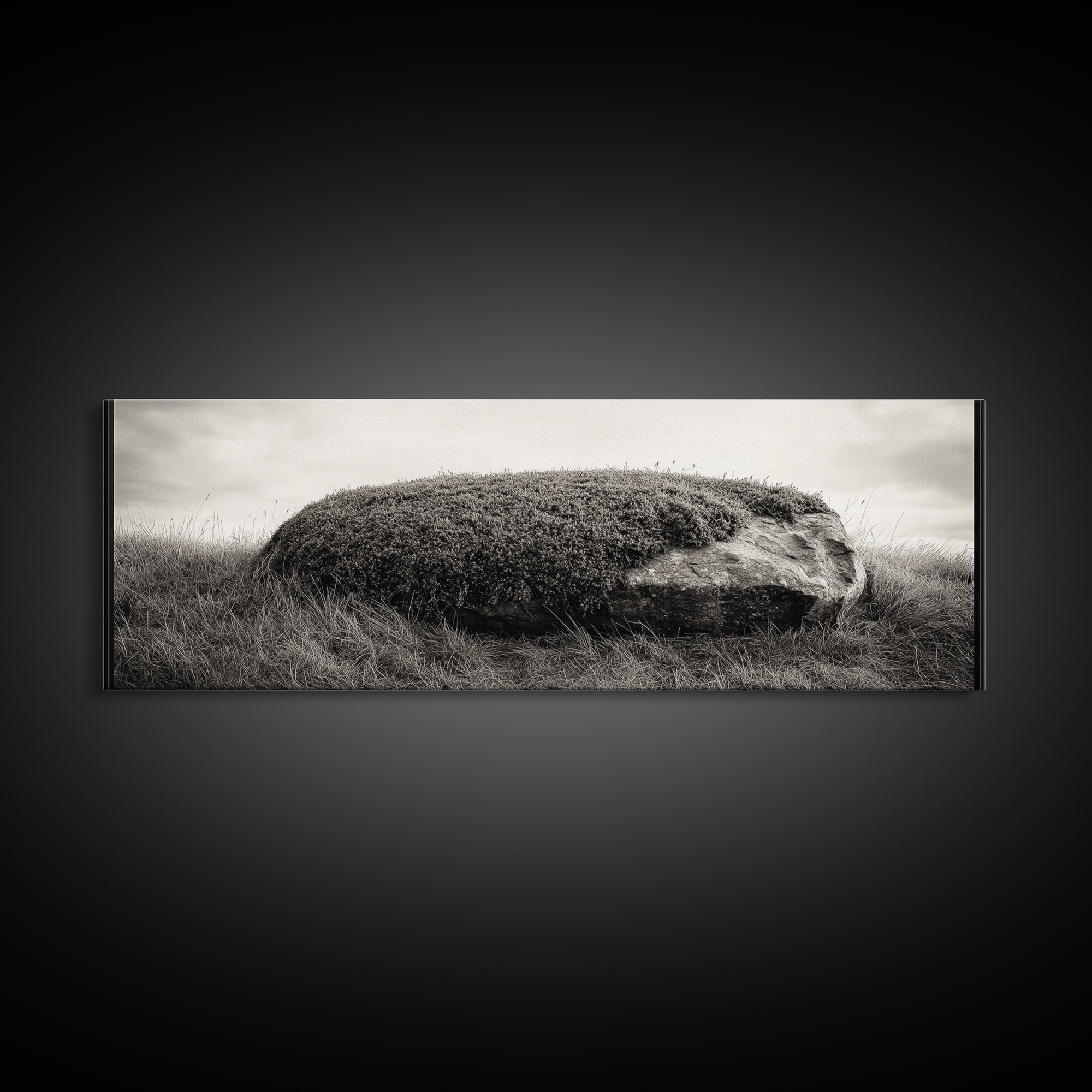 Heather Rock, Grassy Field, Natural Simplicity, Earthy Tones, Canvas Print, Rustic Home Decor, Minimalist Nature Wall Art, Fall Inspired Art