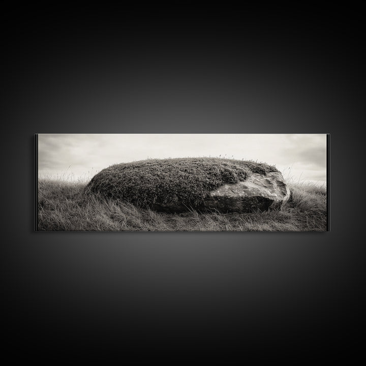 Heather Rock, Grassy Field, Natural Simplicity, Earthy Tones, Canvas Print, Rustic Home Decor, Minimalist Nature Wall Art, Fall Inspired Art