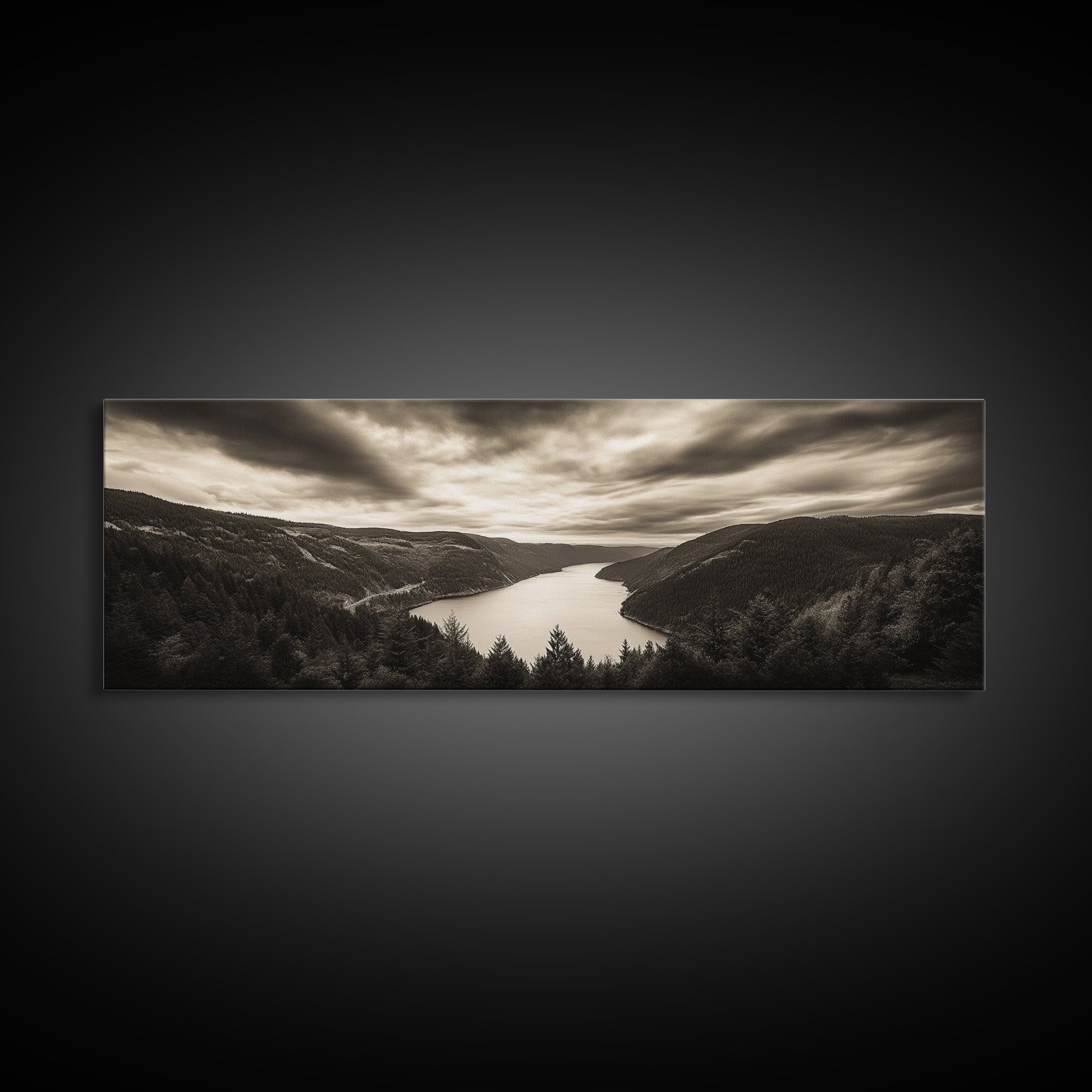 River Valley View, Dramatic Sky, Forest Landscape, Framed Canvas Print, Nature Photography, Entryway Wall Art, Moody Earth Tones