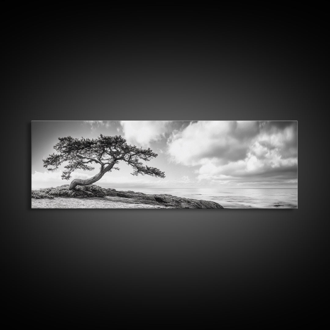 Windswept Tree, Coastal Nature, Ocean Cliff View, Framed Canvas Print, Zen Wall Art, Minimalist Decor, Calm Living Room Accent