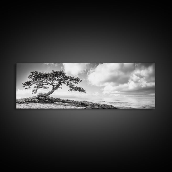 Windswept Tree, Coastal Nature, Ocean Cliff View, Framed Canvas Print, Zen Wall Art, Minimalist Decor, Calm Living Room Accent