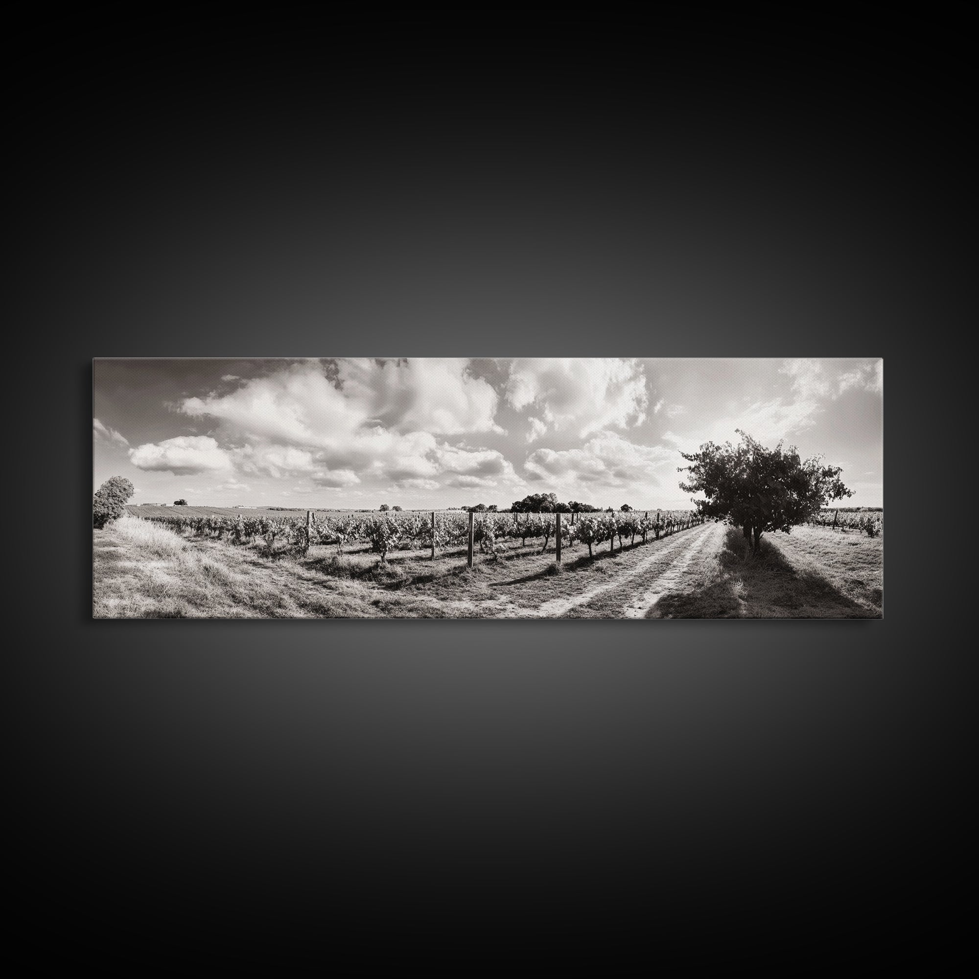 Vineyard Rows, Sunny Fields, Cloudy Sky, Canvas Print, Rustic Country Decor, Dining Room Wall Art, Wine Country Landscape, Farmhouse Style