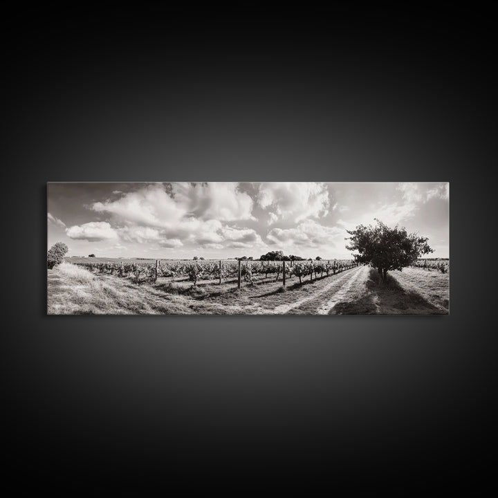 Vineyard Rows, Sunny Fields, Cloudy Sky, Canvas Print, Rustic Country Decor, Dining Room Wall Art, Wine Country Landscape, Farmhouse Style