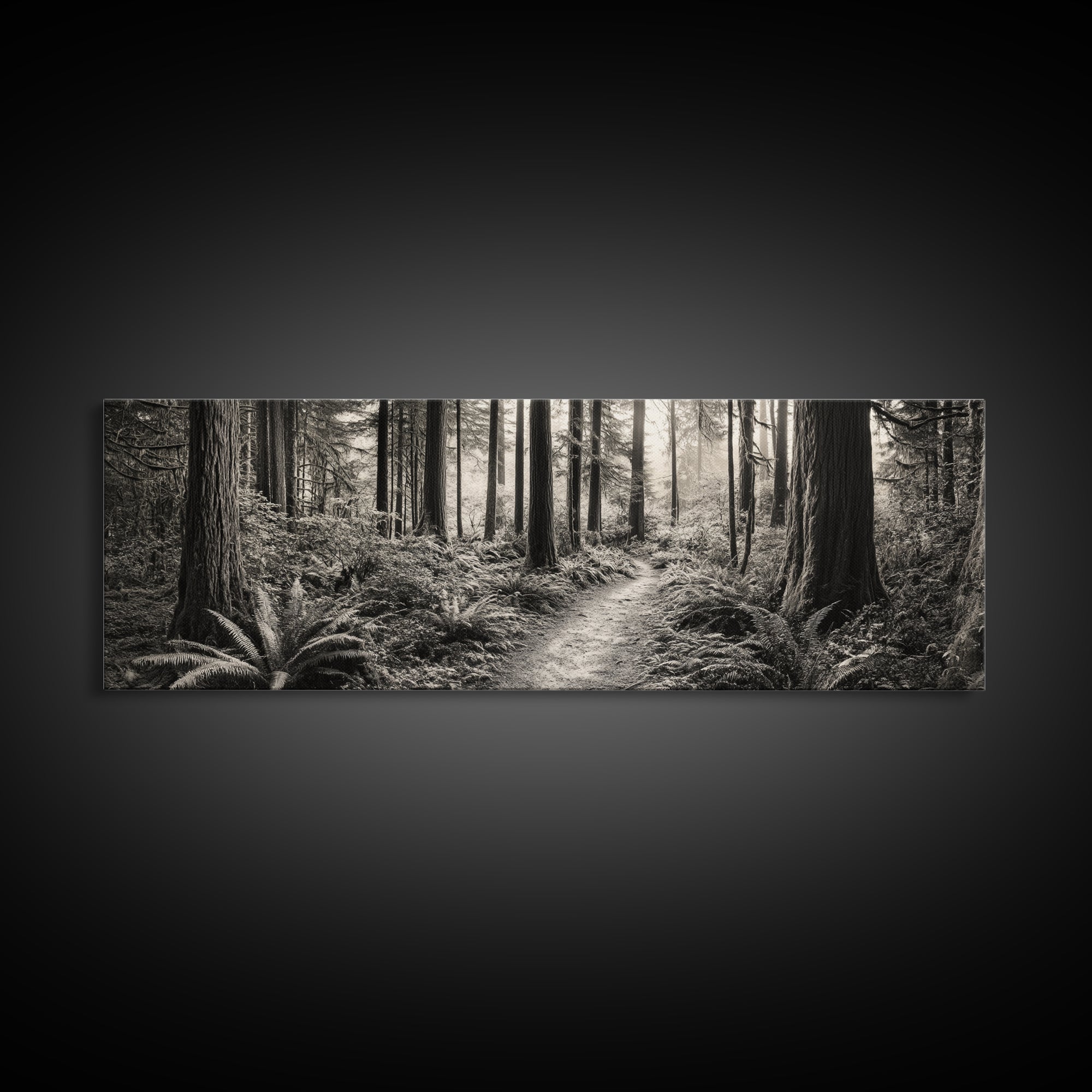 Redwood Forest, Nature Path, Fern Understory, Framed Canvas Print, Moody Nature Photography, Office Wall Art, Forest Bathing Vibes