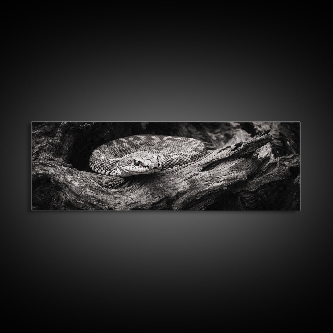 Coiled Rattlesnake, Wild Nature, Black and White, Canvas Print, Rustic Decor, Man Cave Wall Art, Cabin Style, Animal Photography, Moody Art
