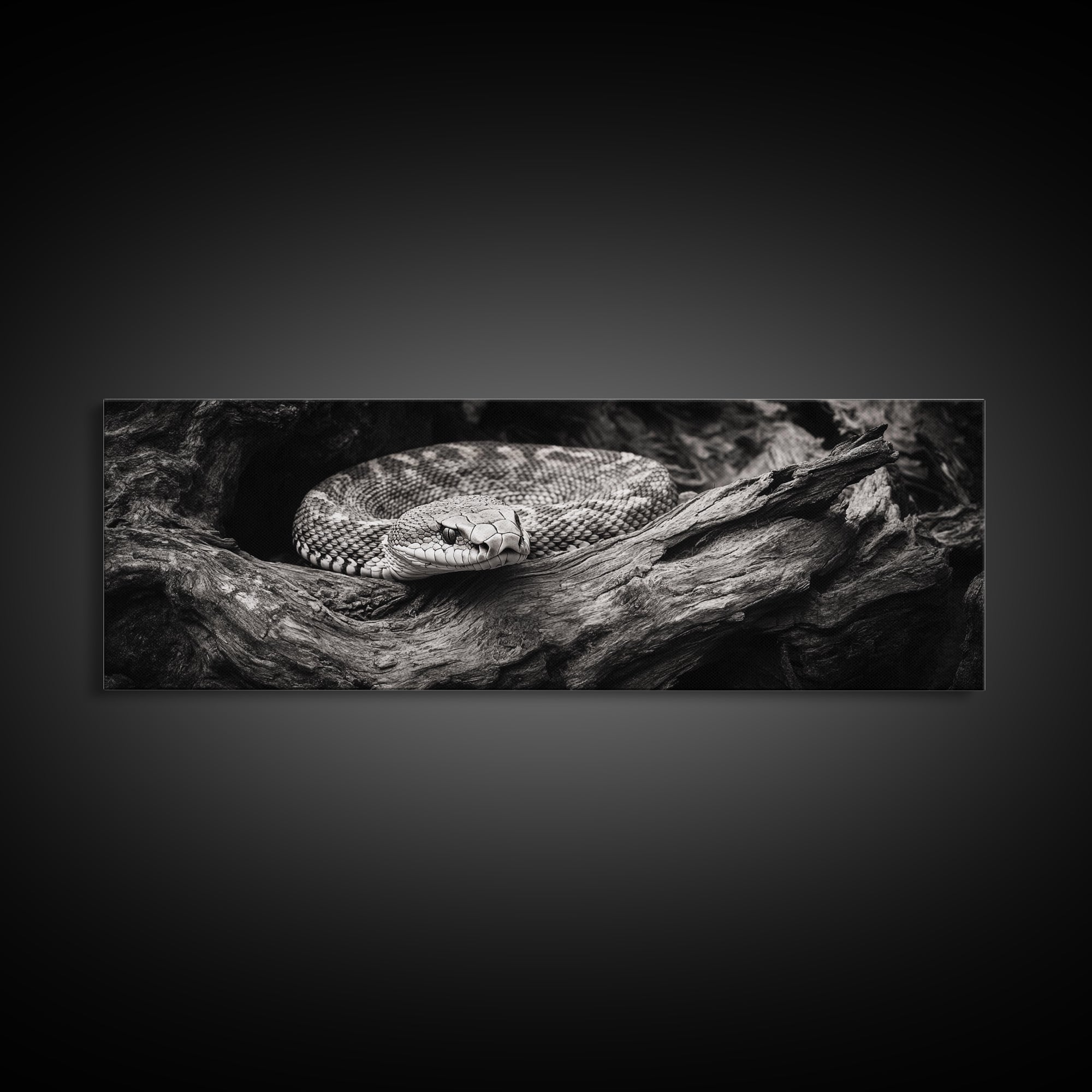 Coiled Rattlesnake, Wild Nature, Black and White, Canvas Print, Rustic Decor, Man Cave Wall Art, Cabin Style, Animal Photography, Moody Art
