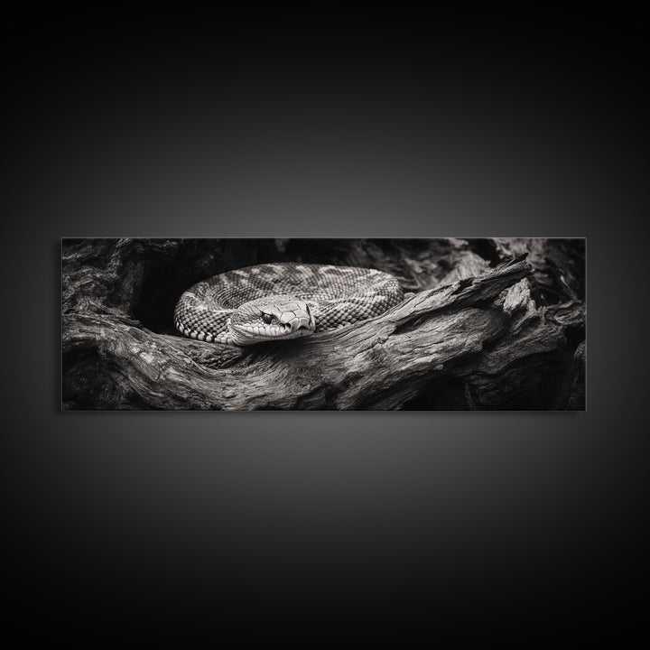 Coiled Rattlesnake, Wild Nature, Black and White, Canvas Print, Rustic Decor, Man Cave Wall Art, Cabin Style, Animal Photography, Moody Art