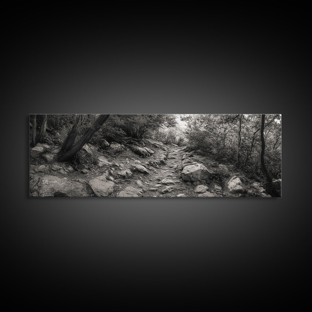 Rocky Path, Forest Trail, Autumn Mood, Canvas Print, Nature Photography, Rustic Entryway Decor, Woodland Art, Cabin Hallway Style