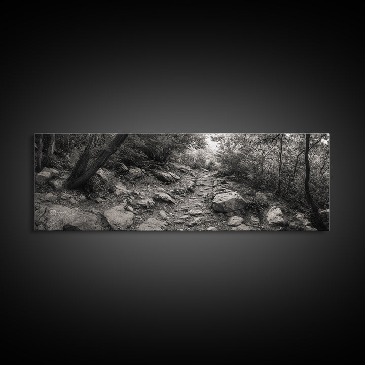 Rocky Path, Forest Trail, Autumn Mood, Canvas Print, Nature Photography, Rustic Entryway Decor, Woodland Art, Cabin Hallway Style