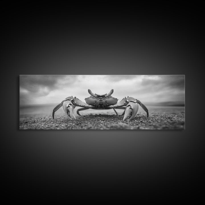 Closeup Crab, Coastal Creature, Dramatic Sand, Framed Canvas Print, Beach Wall Art, Nautical Bathroom Decor, Ocean Nature Photo
