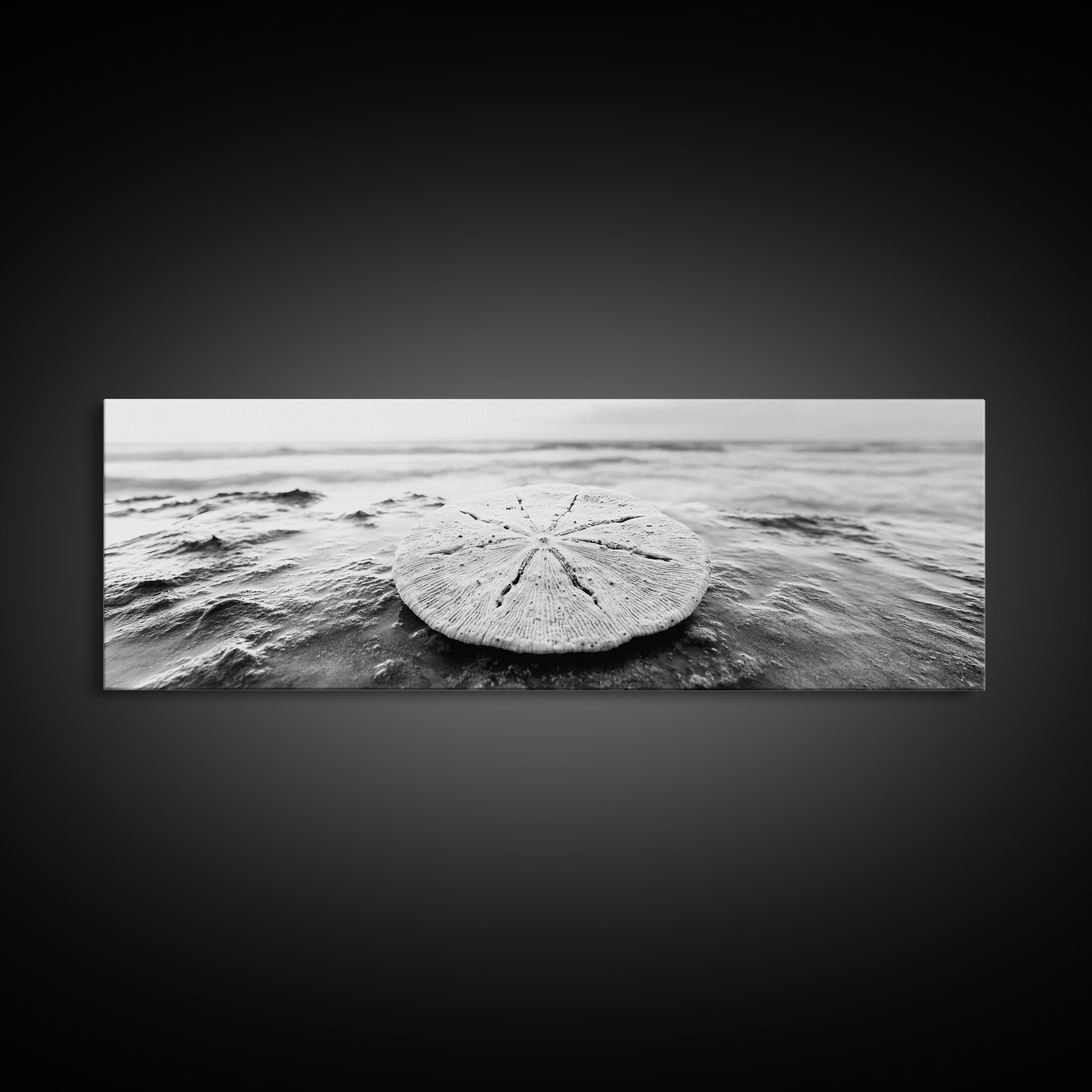Sand Dollar, Ocean Shore, Calm Waters, Canvas Print, Coastal Wall Art, Minimalist Bathroom Decor, Seashell Beach Photography