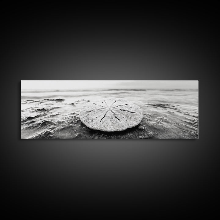 Sand Dollar, Ocean Shore, Calm Waters, Canvas Print, Coastal Wall Art, Minimalist Bathroom Decor, Seashell Beach Photography