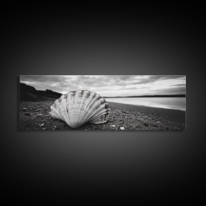 Shell on Shore, Monochrome Coastal, Canvas Print, Boho Wall Art, Bathroom Wall Decor, Natural Beach Aesthetic, Ocean Inspired Art