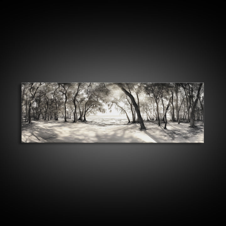 Dreamy Beach Forest, Sepia Trees, Canvas Print, Nature Wall Decor, Fall Bedroom Art, Rustic Woodland Landscape, Tree Shadow Light