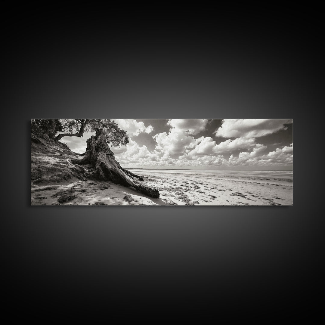 Coastal Tree Roots, Windswept Beach, Natural Form, Framed Canvas Print, Boho Wall Art, Entryway Decor, Beach House Aesthetic