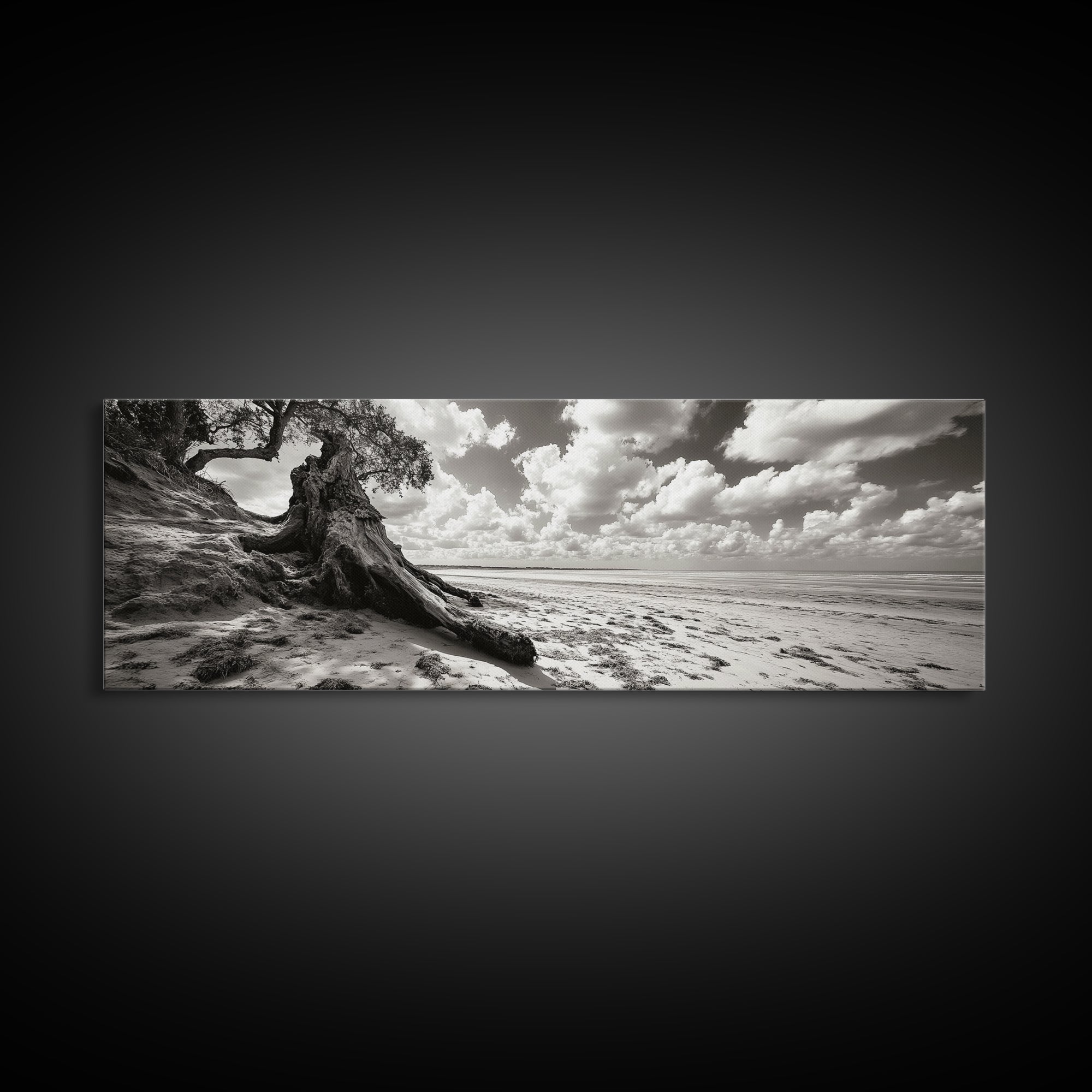 Coastal Tree Roots, Windswept Beach, Natural Form, Framed Canvas Print, Boho Wall Art, Entryway Decor, Beach House Aesthetic