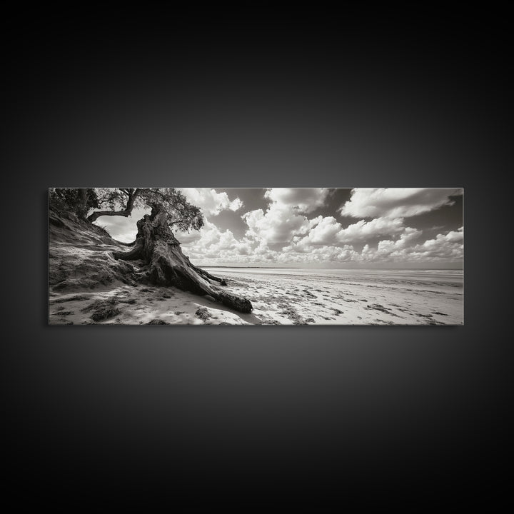 Coastal Tree Roots, Windswept Beach, Natural Form, Framed Canvas Print, Boho Wall Art, Entryway Decor, Beach House Aesthetic