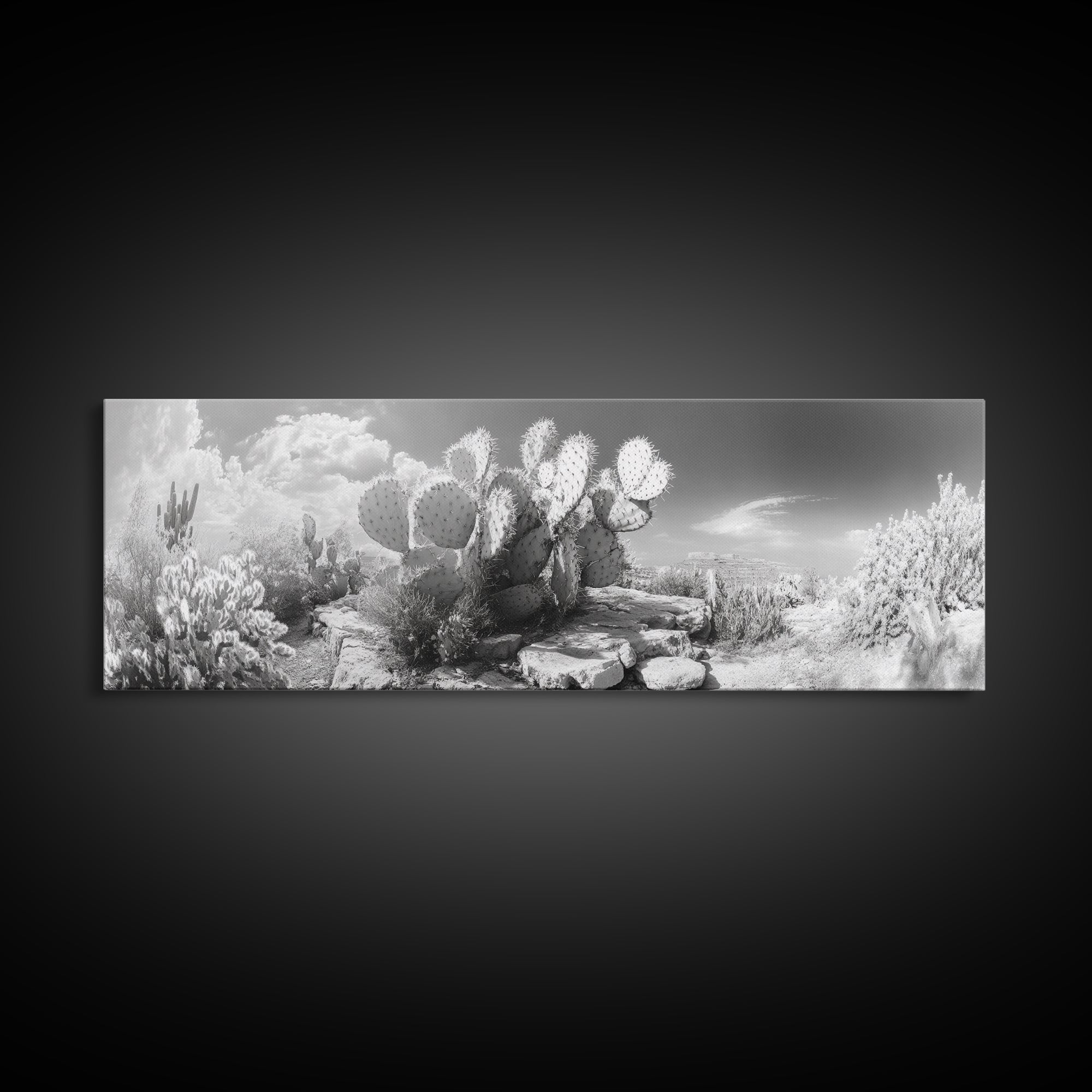 Desert Cactus Garden, Sunlit Southwest Scene, Nature Landscape Art, Canvas Print, Rustic Living Room Wall Decor, Boho Style