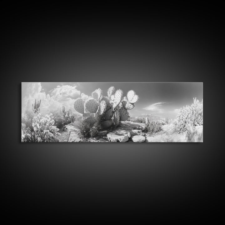 Desert Cactus Garden, Sunlit Southwest Scene, Nature Landscape Art, Canvas Print, Rustic Living Room Wall Decor, Boho Style