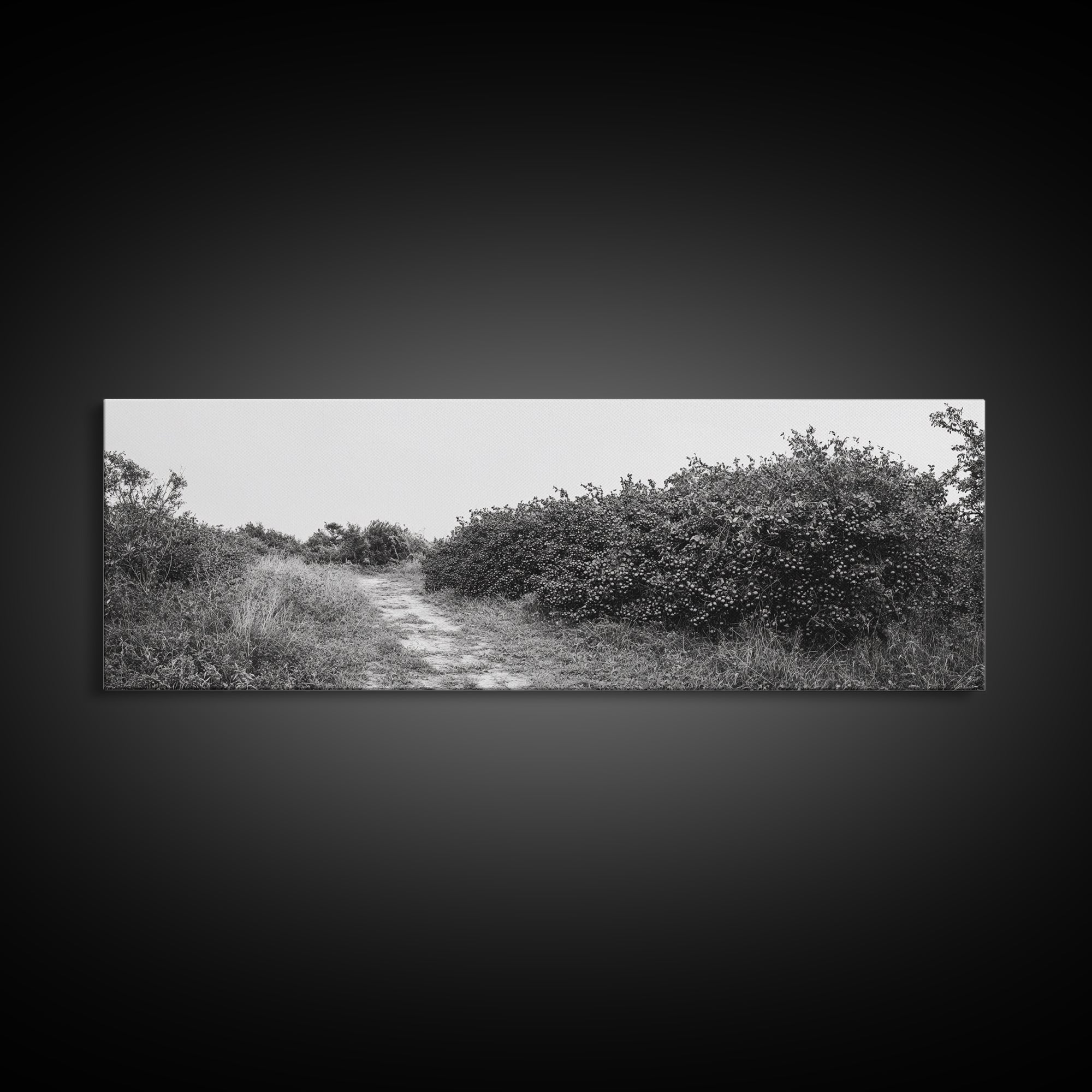 Wild Apple Path, Nature Overgrowth, Autumn Orchard Trail, Canvas Print, Fall Farmhouse Kitchen Art, Rustic Seasonal Wall Decor