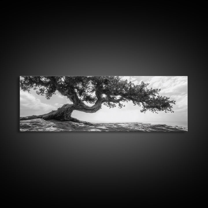 Bending Tree, Windswept Landscape, Coastal Nature, Monochrome Art, Framed Canvas Print, Zen Wall Art, Minimalist Living Room Decor