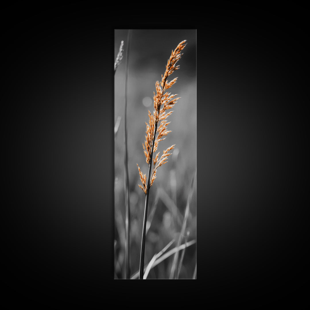 Autumn Grass, Botanical Print, Nature Photography, Single Stem, Canvas Print, Fall Wall Art, Neutral Home Decor, Minimalist Living Room Art