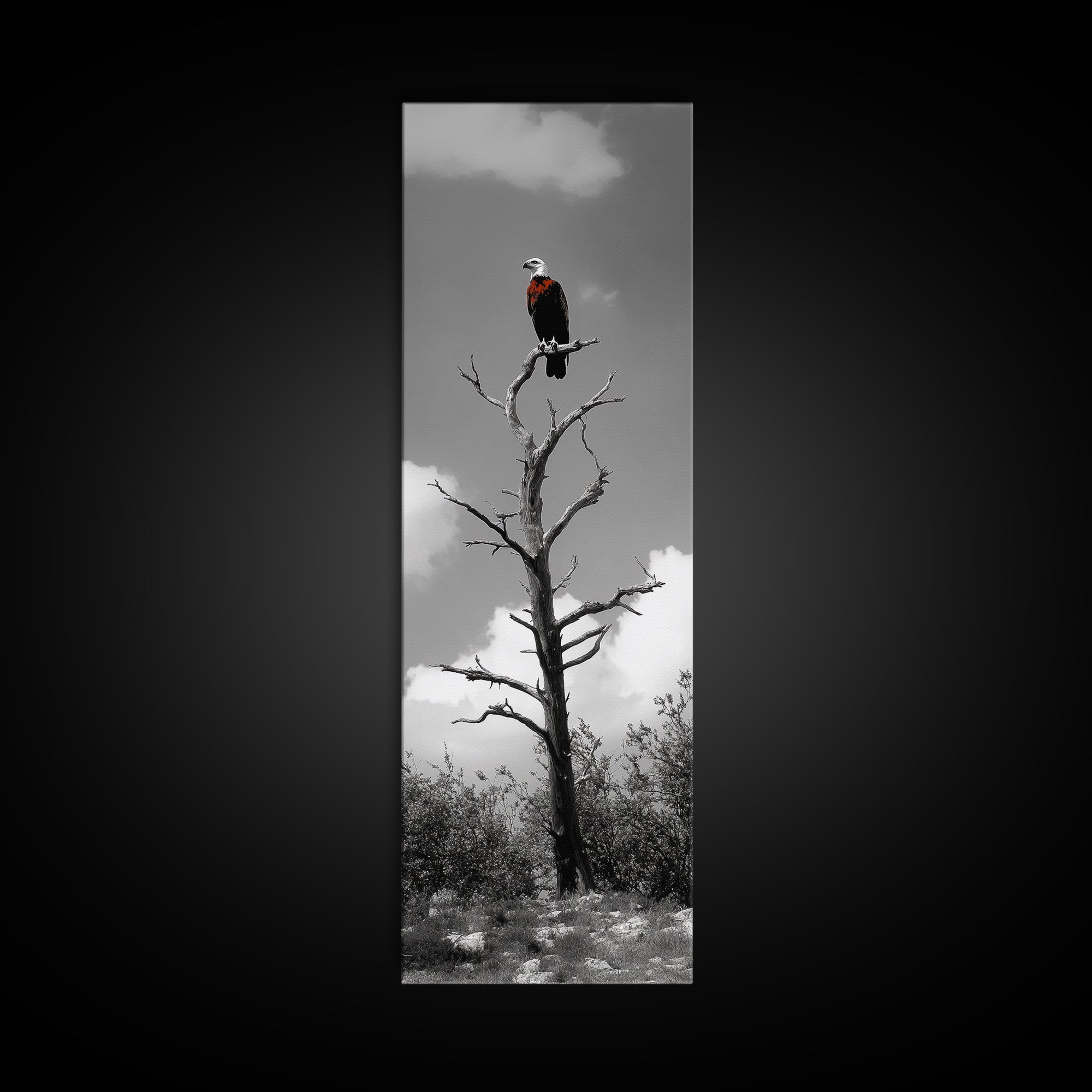 Lone Eagle, Tree Perch, Wild Raptor, Fierce Freedom, Canvas Print, Rustic Wildlife Wall Art, Cabin Lodge Decor, Dramatic Nature Scene