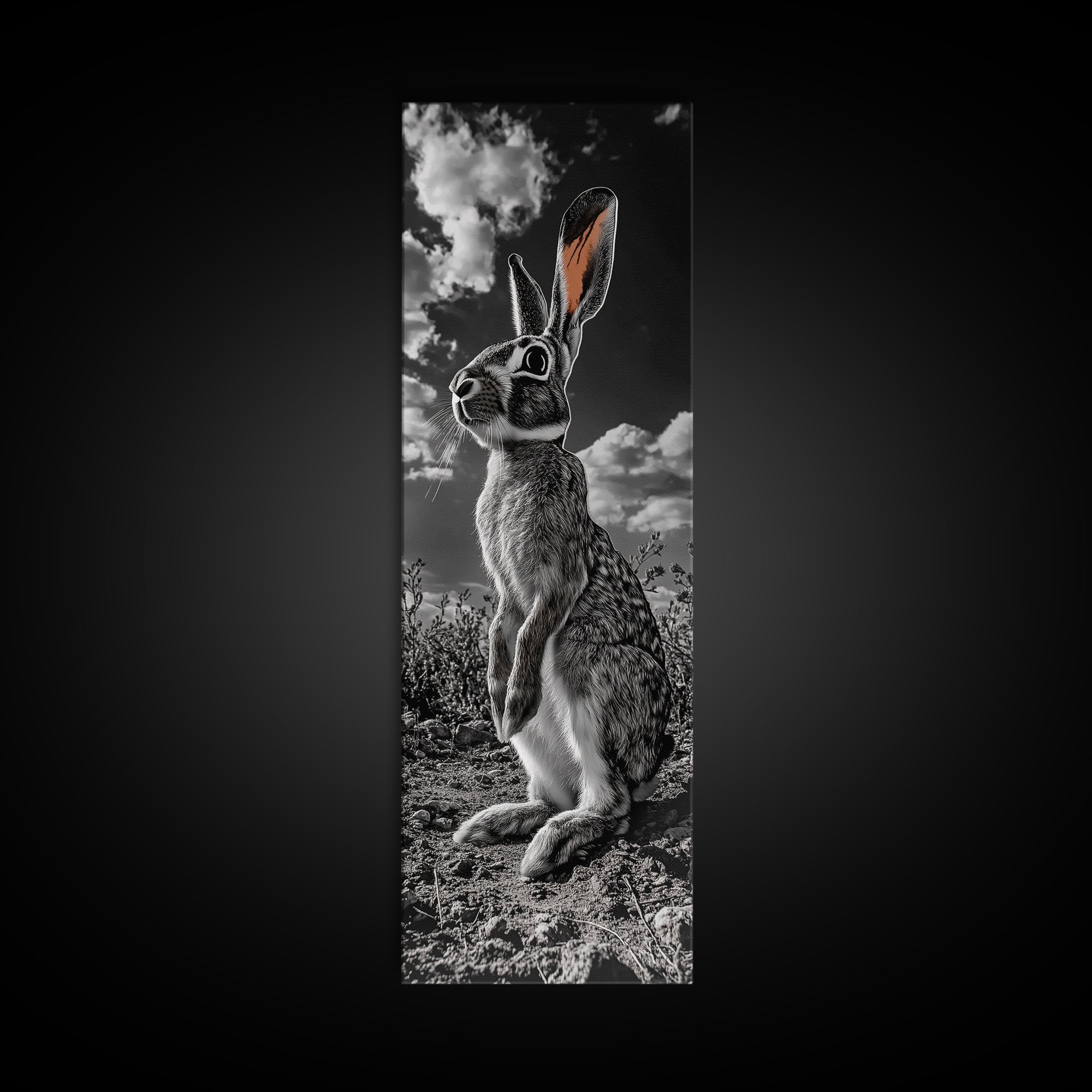 Wild Rabbit, Sunset Ears, Desert Animal, Wildlife Close-Up, Framed Canvas Print, Boho Animal Decor, Living Room Accent, Nature Wall Art