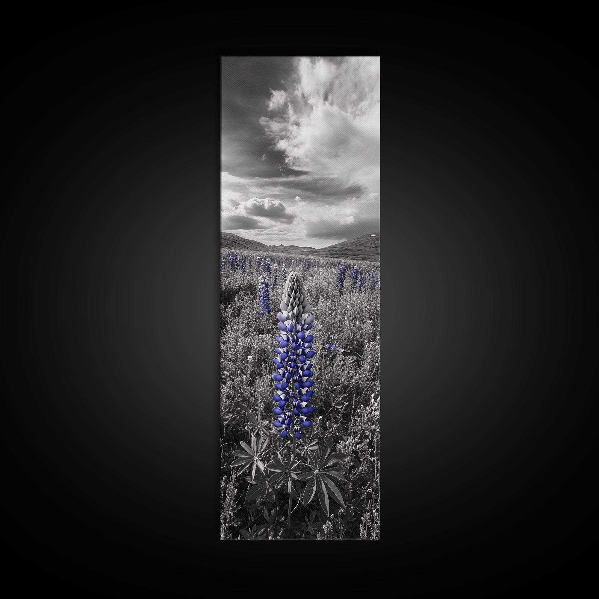 Blue Lupine, Wildflower Meadow, Cloudy Sky, Spring Bloom Framed Canvas Print, floral nature art, botanical hallway wall decor