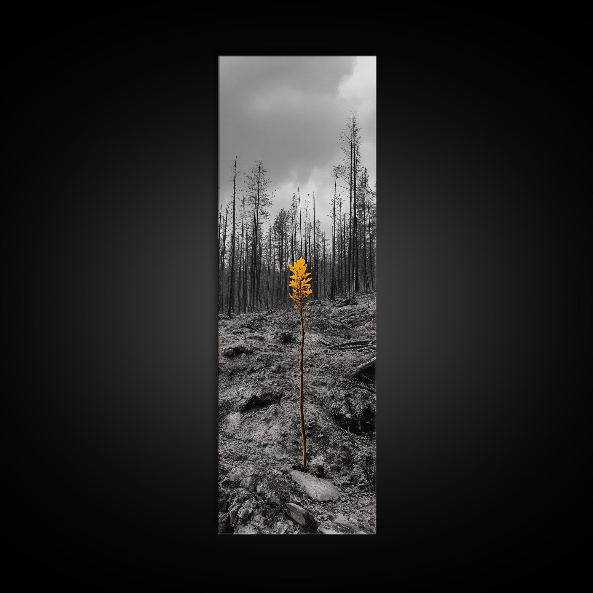 Lone Sprout, Forest Renewal, Emotional Nature Scene, Moody Landscape Art, Framed Canvas Print, Autumn Wall Decor, Rustic Nature Style