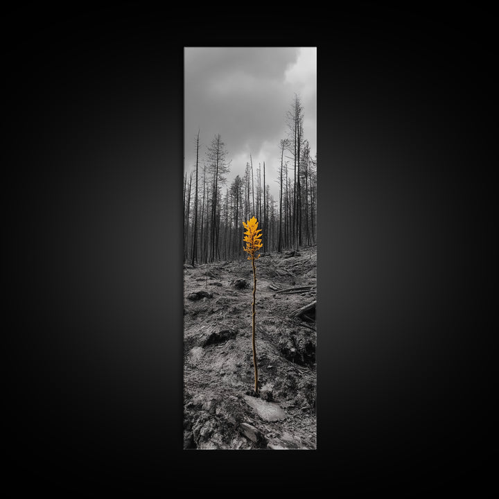 Lone Sprout, Forest Renewal, Emotional Nature Scene, Moody Landscape Art, Framed Canvas Print, Autumn Wall Decor, Rustic Nature Style