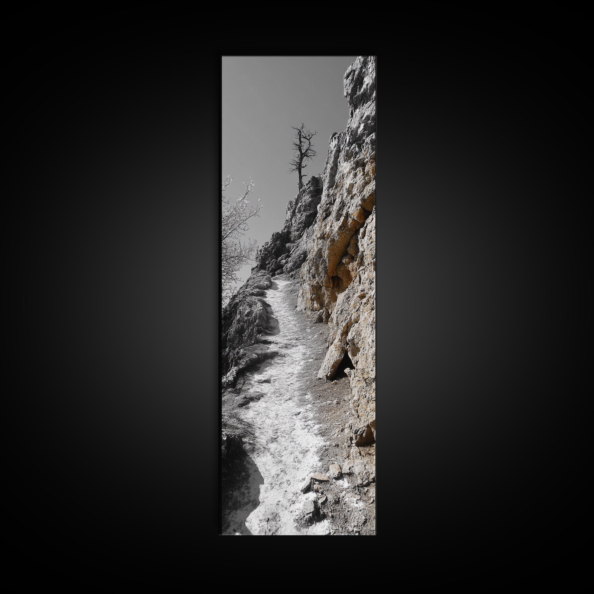 Cliff Pathway Art, Nature Trail Scene, Monochrome Rustic Landscape, Framed Canvas Print, Mountain Cabin Entryway Wall Decor