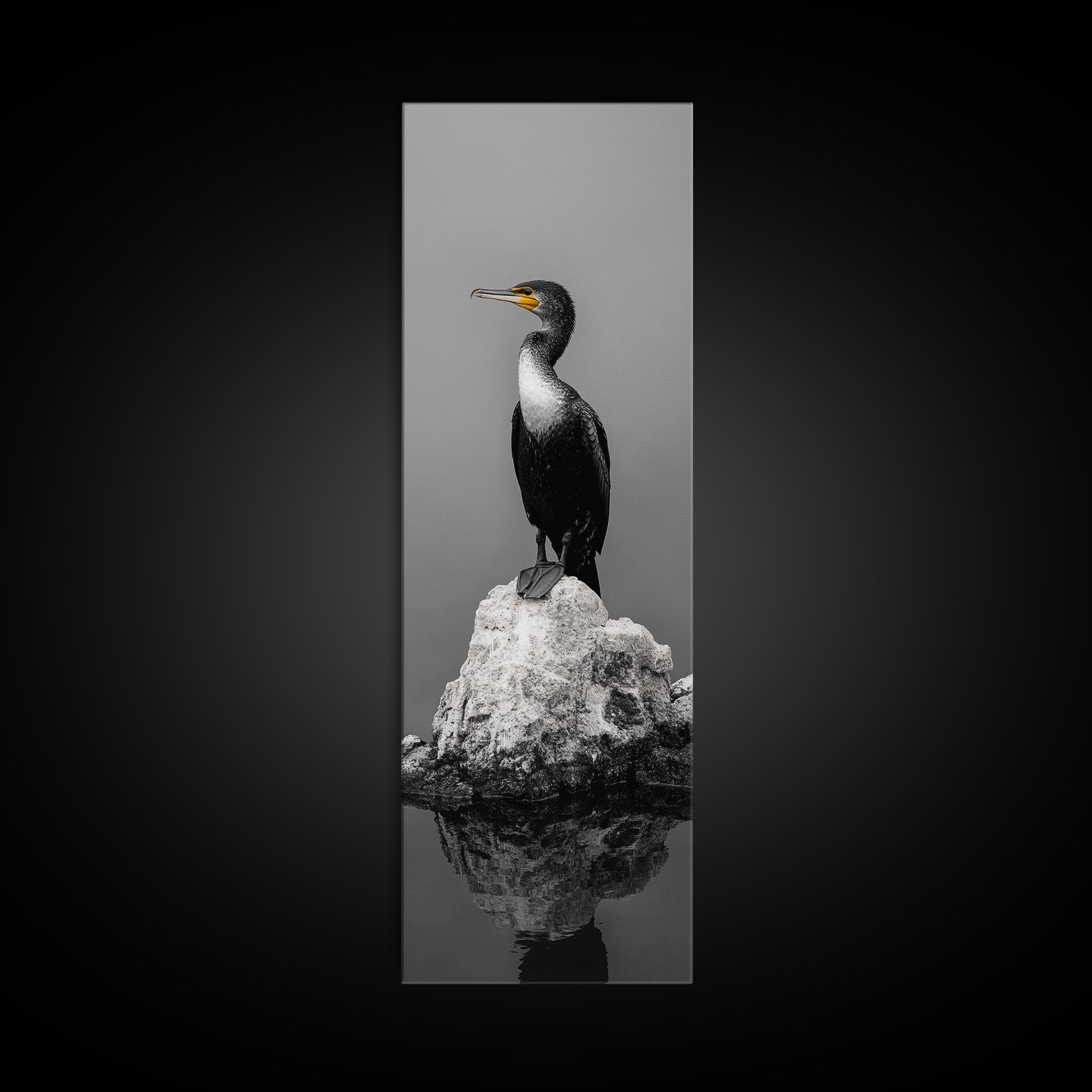 Cormorant Bird, Coastal Bird Art, Water Bird, Minimal Nature Art, Black and White Wildlife, Framed Canvas Print, Modern Entryway Wall Art