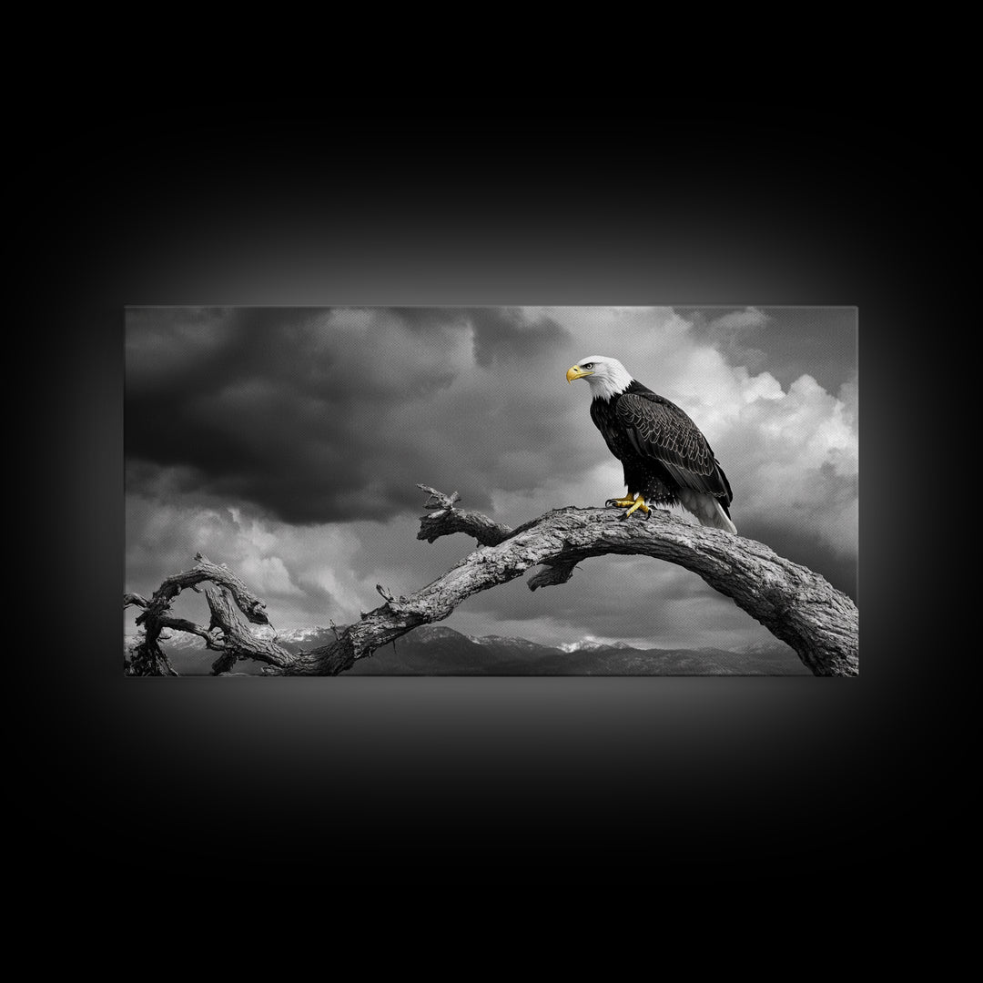 Eagle, Branch, Storm, Power and grace collide in this Framed Canvas Print of a majestic eagle perched before a storm, Living Room Wall Art
