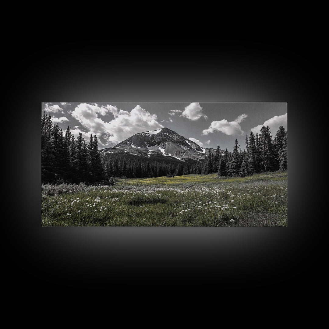 Mountain, Meadow, Wildflowers, Alpine meadow bloom and majestic peak on this Framed Canvas Print, serene Nature Wall Art for Entryway