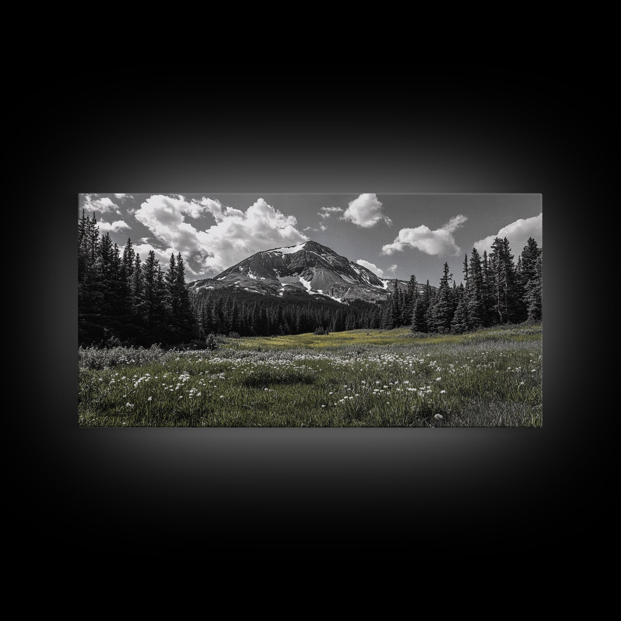 Mountain, Meadow, Wildflowers, Alpine meadow bloom and majestic peak on this Framed Canvas Print, serene Nature Wall Art for Entryway