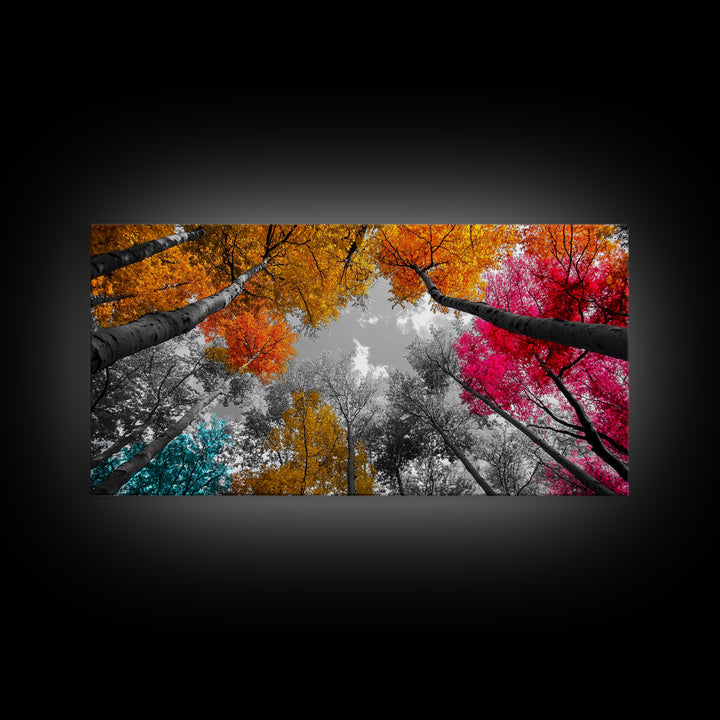 Autumn Trees, Colorful Forest, Fall Foliage, Looking Up, Framed Canvas Print, Vibrant Nature, Living Room Wall Art, Boho Style