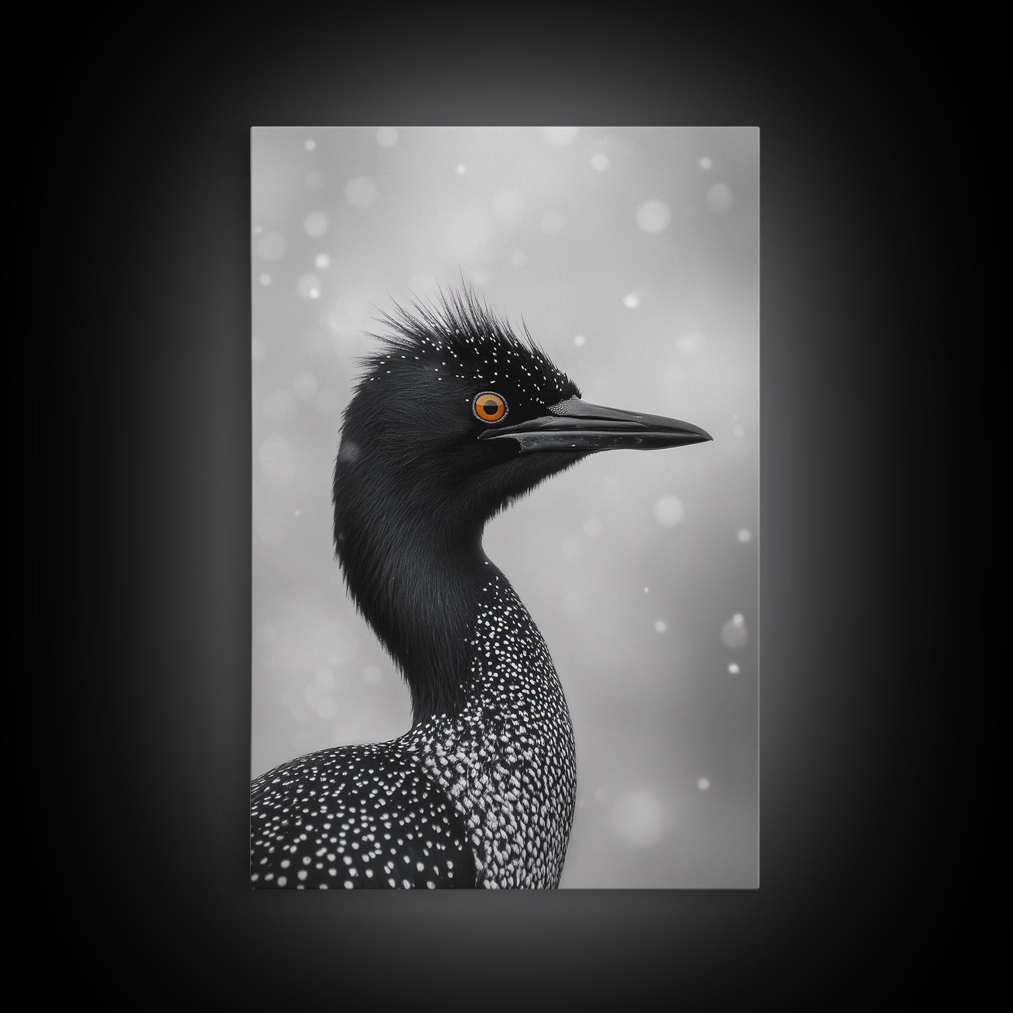 Black Loon, Bird Closeup, Snowy Glow, Winter Nature Canvas Print, Wildlife Wall Art, Modern Bedroom Decor, Birdwatcher Gift Print