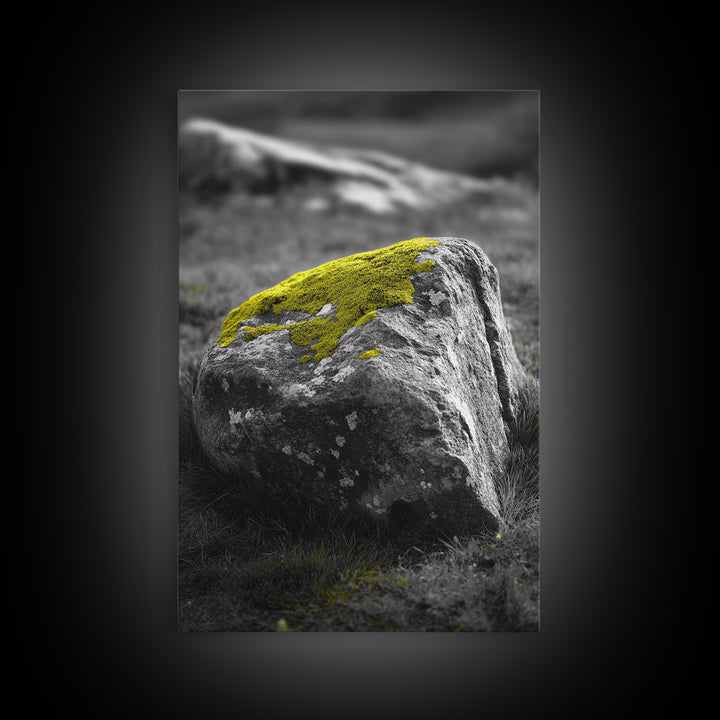 Mossy Stone Closeup, Earthy Nature Texture, Minimal Landscape Print, Framed Canvas Print, Modern Office Wall Decor, Zen Rock Art