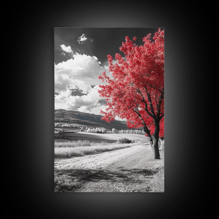 Autumn Red Tree, Scenic Road, Countryside Field, Framed Canvas Print, Fall Wall Art, Rustic Home Decor, Nature Photography, Office Accent