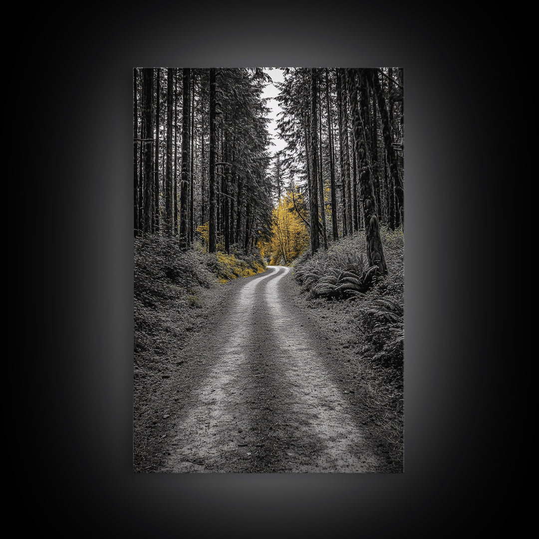 Forest Path, Yellow Trees, Autumn Trail, Framed Canvas Print, Fall Wall Art, Woodland Nature Decor, Cozy Home Accent, Entryway Artwork