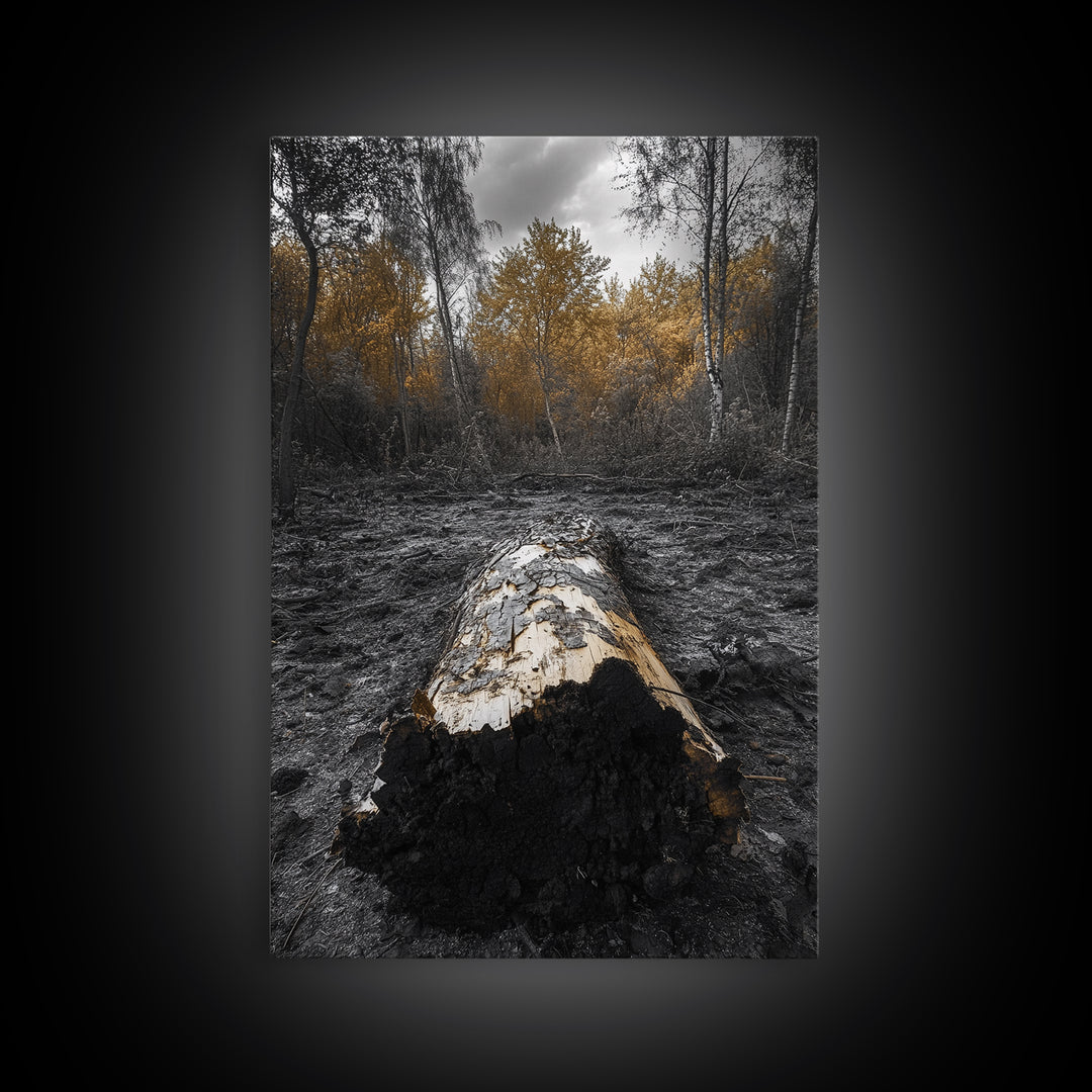 Fallen Log, Autumn Forest, Nature Transition, Framed Canvas Print, Rustic Fall Decor, Cabin Wall Art, Woodland Photography