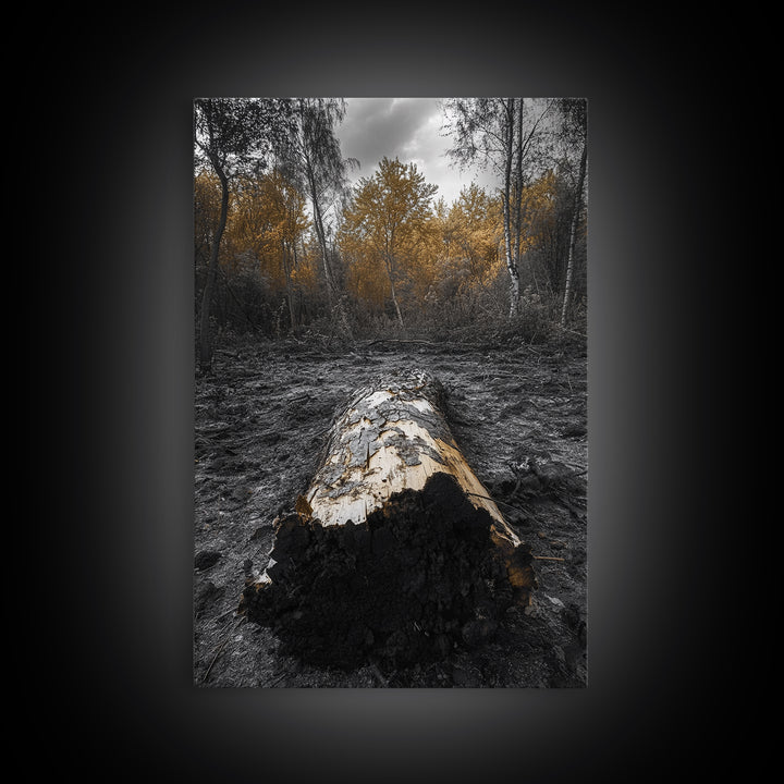 Fallen Log, Autumn Forest, Nature Transition, Framed Canvas Print, Rustic Fall Decor, Cabin Wall Art, Woodland Photography