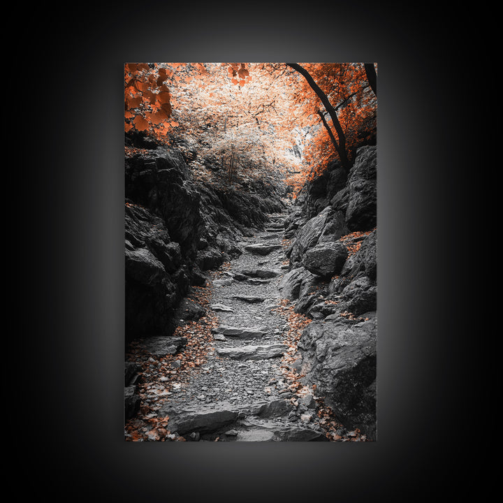 Rocky Trail, Autumn Leaves, Forest Path, Framed Canvas Print, Fall Nature Wall Art, Rustic Entryway Decor, Hiking Landscape Art