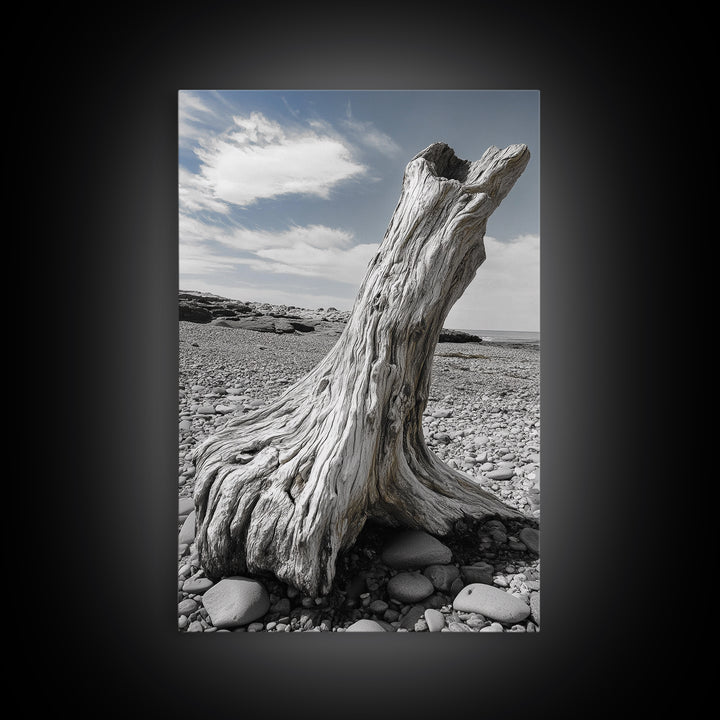 Coastal Driftwood, Beach Stump, Pebble Shore, Framed Canvas Print, Rustic Wall Art, Bathroom Decor, Earthy Beach House Accent